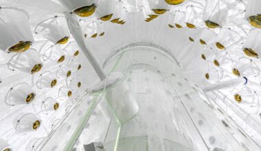 Have we finally found dark matter?