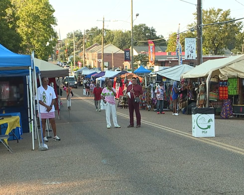 Despite the record heat, community members attended the African Street Fest to check out all...