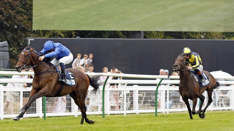 Morris Dancer & Maho Bay hoping to scale G3 Winter Hill