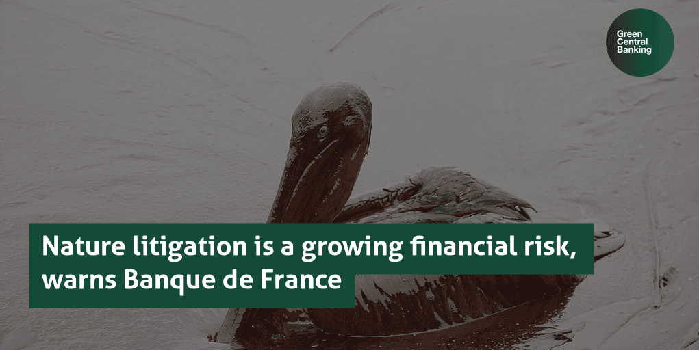 Nature litigation is a growing financial risk, warns Banque de France