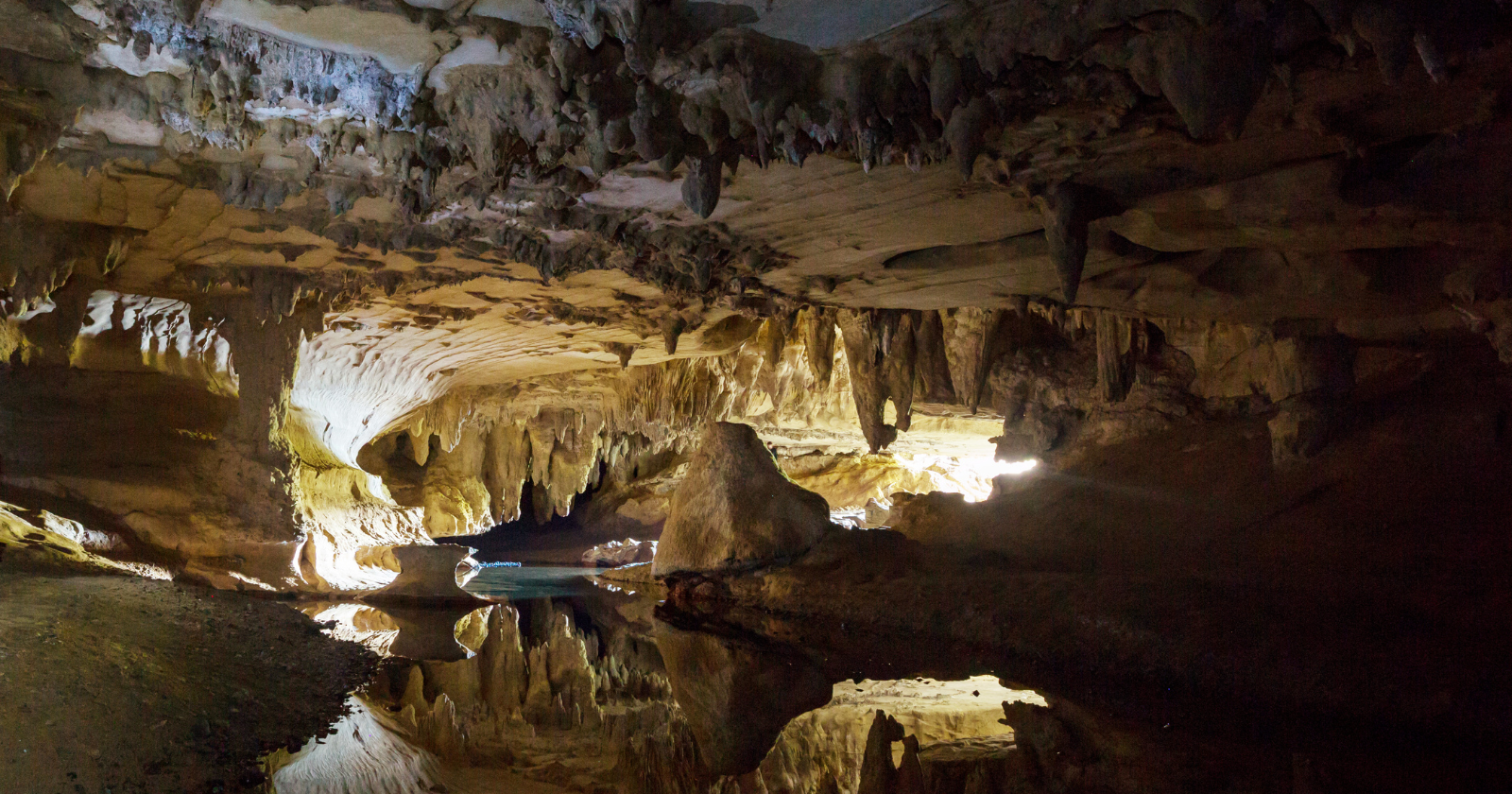 A cave in New Zealand preserved a lost world from a million years ago — ancient parrots, giant flightless rails and a bird community reshaped by supereruptions and Ice Age climate swings long before humans ever reached the islands