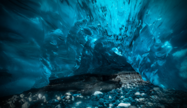 Nearly 300 metres beneath Mexico’s Chihuahuan Desert, miners tunnelling for ore broke into a chamber filled with crystals as long as a bus — giant beams of gypsum up to 11 metres long, hidden underwater for hundreds of thousands of years until mine pumps exposed them