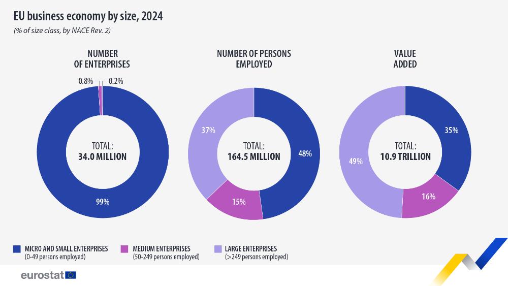 EU business economy by size, 2024 (% of size class, by NACE rev.2). 3 pie charts by number of enterprises, number of persons employed, value added. Link to full dataset below.