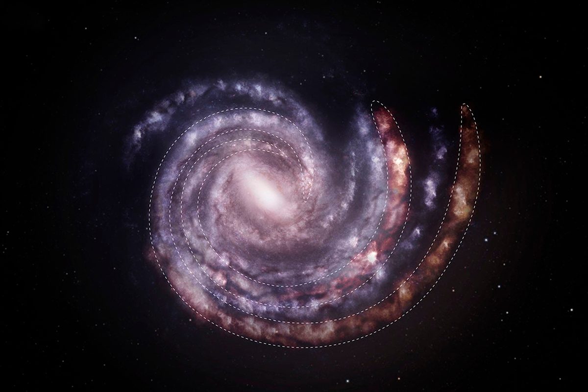 Artist