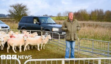 Sheep stolen from Jeremy Clarkson's Diddly Squat Farm - BBC