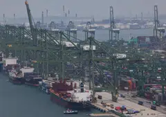 Key exports to most of Singapore’s top 10 markets grew year on year last month.
