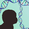 Brain cells, interrupted: How some genes may cause autism, epilepsy and schizophrenia