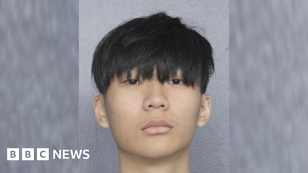Singaporean man pleads guilty in US to massive crypto heist - BBC
