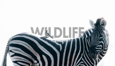 Your Landscape Kit Is Already Wildlife Ready