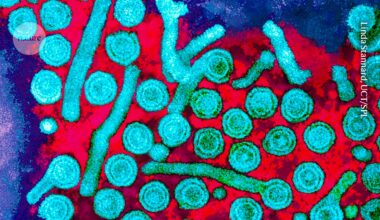 'Epigenetic' editing is here: gene-tagging technique banishes hepatitis B virus