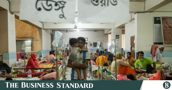 Dengue cases surge; experts warn outbreak could worsen