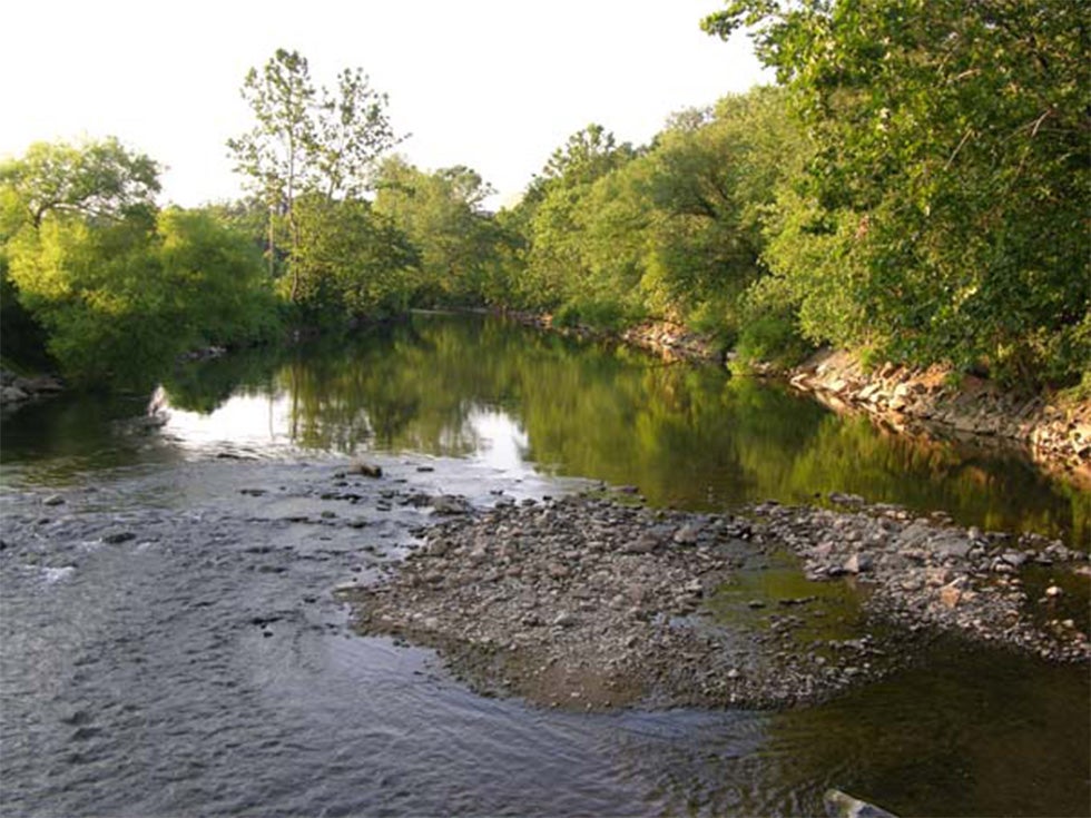Photo of river bed surrounded by trees.