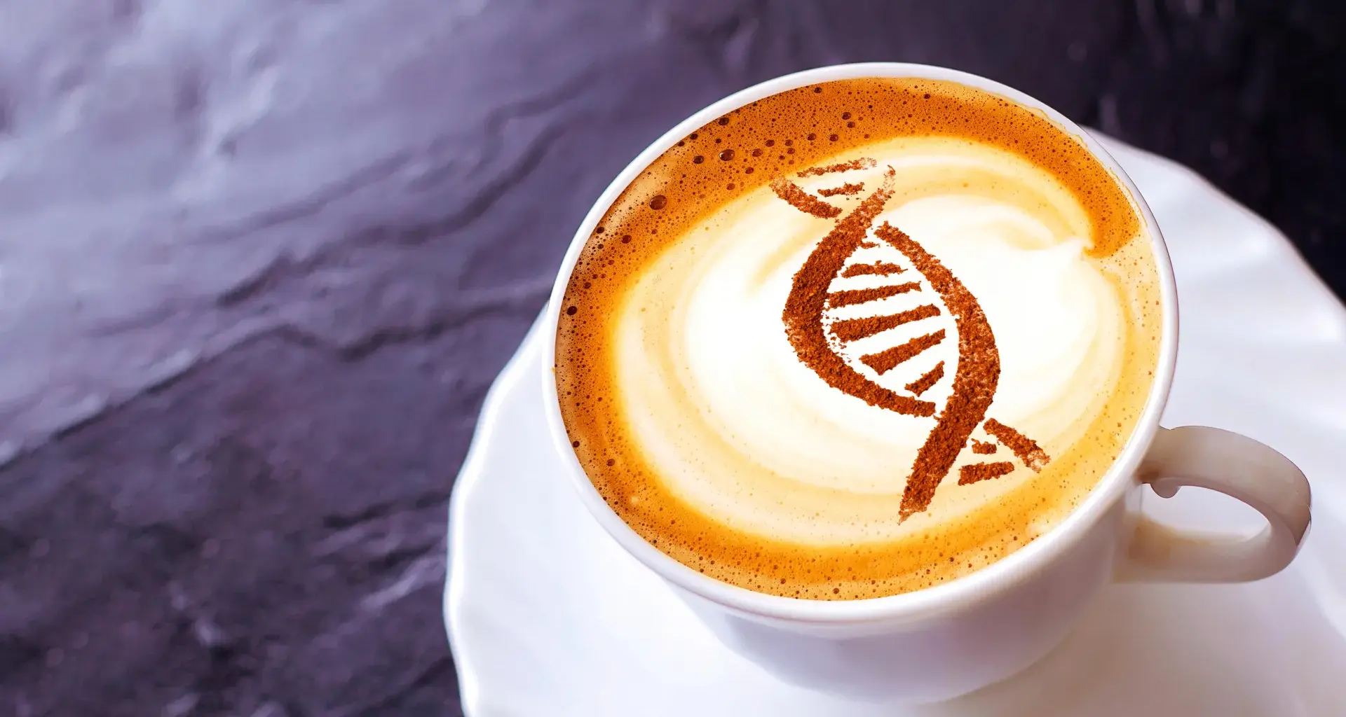 Caffeine may flip an ancient cellular switch linked to slower aging