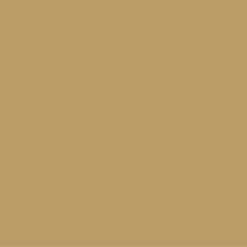dark yellow paint swatch