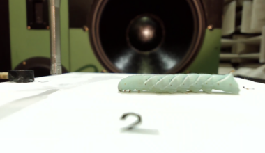 Caterpillar twitches in an ultraquiet chamber are helping biologists understand how these insects hear without ears