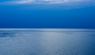 Just five times Earth’s ocean volume could submerge every continent on an Earth-sized planet, weakening the land-based weathering cycle that regulates carbon dioxide and supplies vital nutrients—but it would not necessarily make the planet uninhabitable.