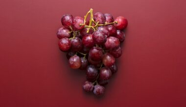 9 Fruits With the Most Carbs Dietitians Love For Energy and Fiber