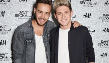 Niall Horan Honors Liam Payne by Playing Late One Direction Bandmate’s Voice Onstage for ‘End of an Era’