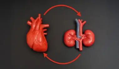 Heart disease and kidney disease can fuel each other. New guidelines aim to break the cycle
