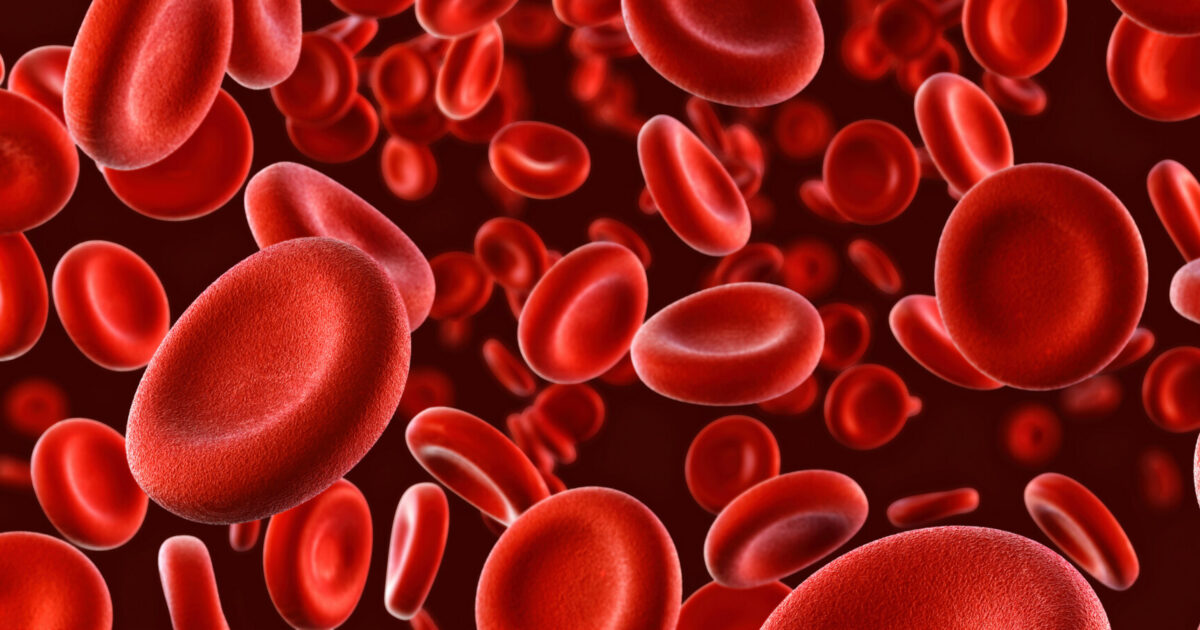 New MS cell therapy builds immune tolerance to protect myelin