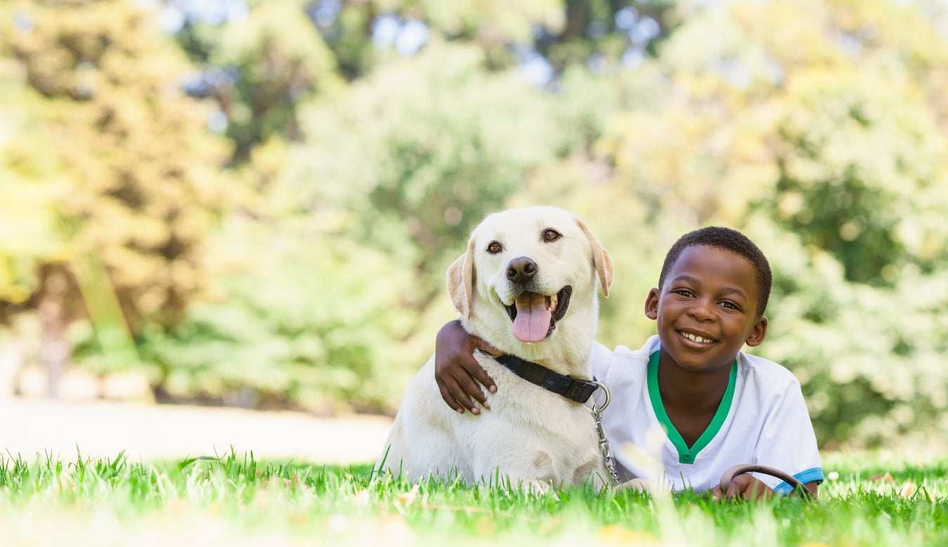 Pets boost emotional regulation, helping children learn to calm themselves