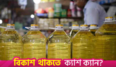 Edible oil shortage hits consumers as egg, veggie prices soar