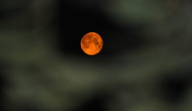 The 4 Zodiac Signs Hit Hardest by the Lunar Eclipse in Pisces on August 27