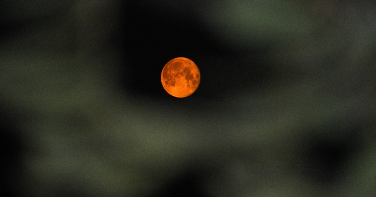 The 4 Zodiac Signs Hit Hardest by the Lunar Eclipse in Pisces on August 27