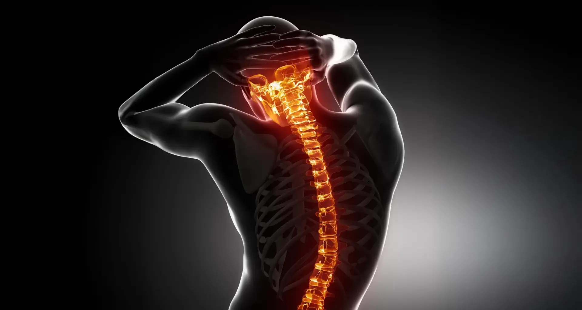 Scientists discover a hidden immune signal that helps spinal cords regrow