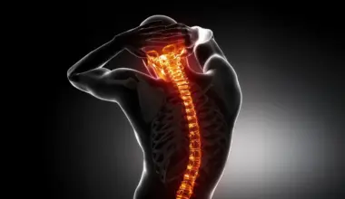 Scientists discover a hidden immune signal that helps spinal cords regrow