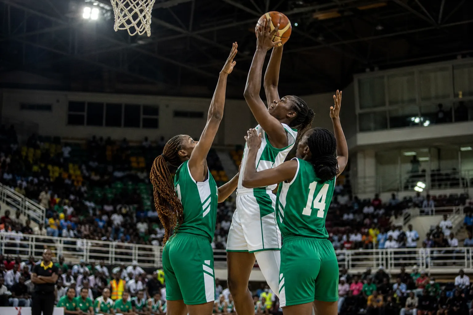 Nigeria loses to France 56:111 and finishes World Cup without a win