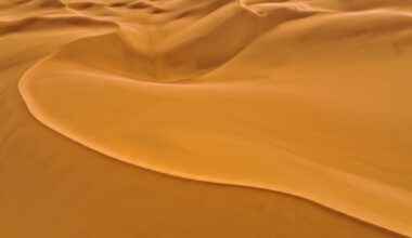 When Georgia Tech scientists tipped out a tumbler of Titan-like organic grains, 2 to 5 percent refused to fall, held to the walls by static electricity. In comparable experiments with terrestrial sand and volcanic ash, nothing stuck.