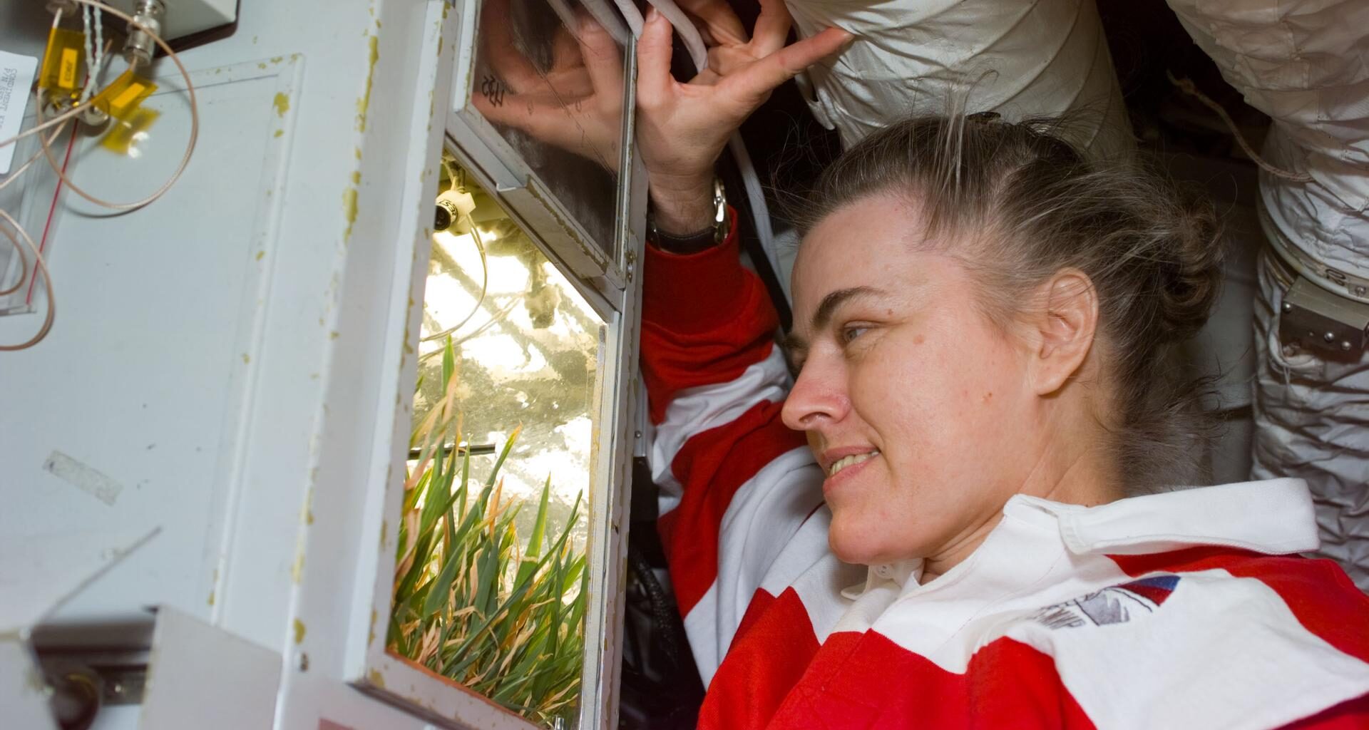 Shannon Lucid on Mir looking at wheat growing in a small greenhouse