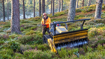 Scotland restored more than 3,500 hectares across 11 wildlife reserves; robot mowers and virtual fences helped threatened species recover