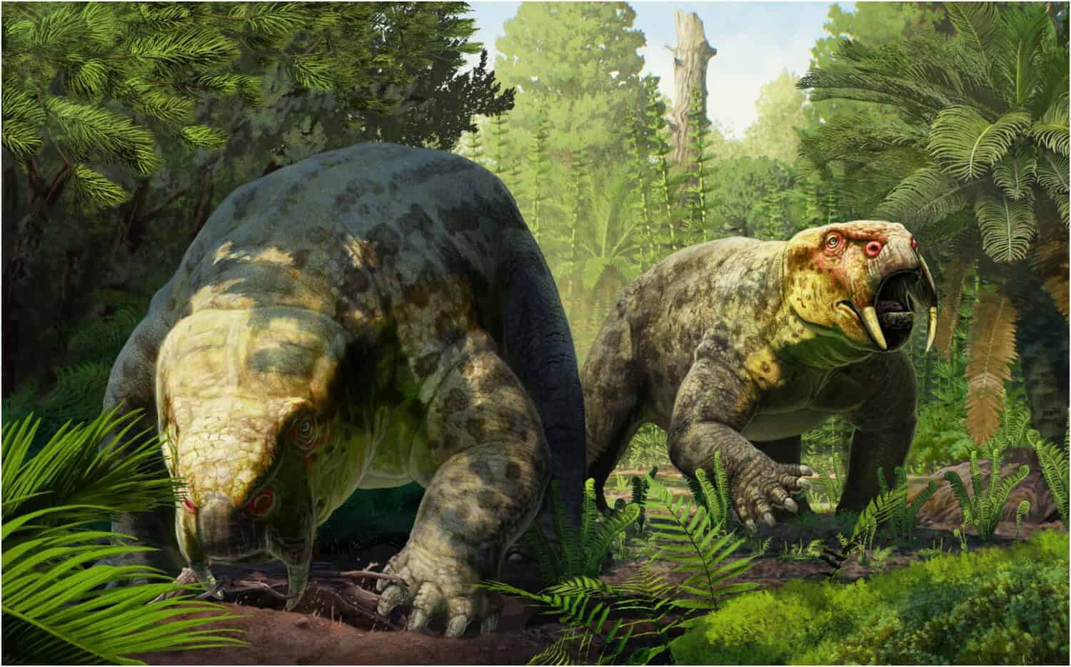 A Strange Tusked Mammal Relative May Redraw the Timeline of the First Dinosaurs