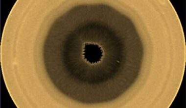 Scientists find a huge 10-sided wave pattern swirling in the clouds over Saturn's south pole