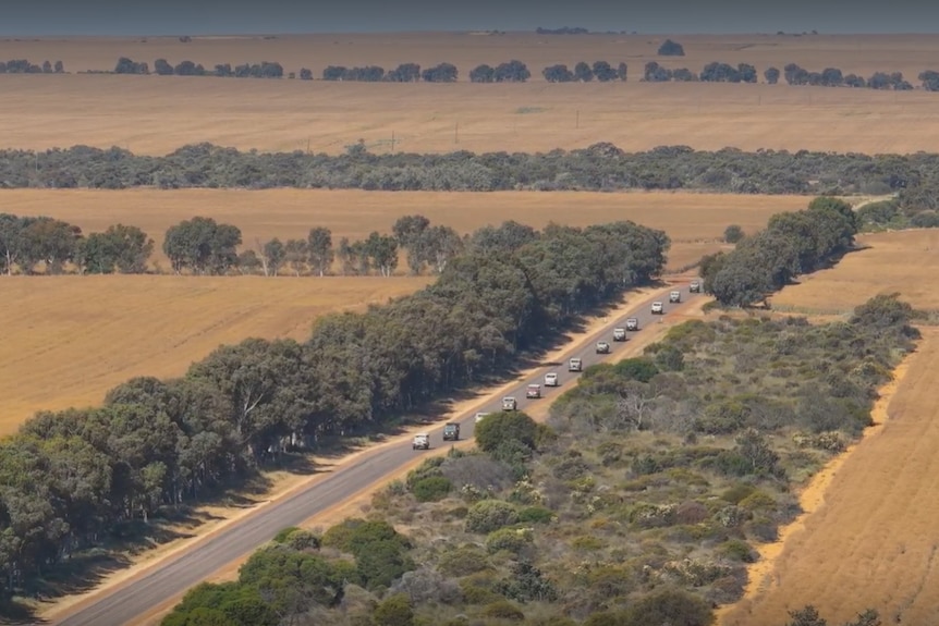A drone shot of a line of cars