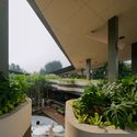 Mitte Oblique Garden / RAD+ar (Research Artistic Design + architecture) - Interior Photography, Garden, Courtyard