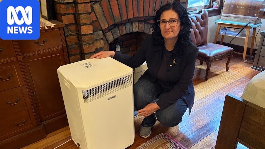 Clean-air advocates say wood smoke being overlooked as Victoria ditches gas