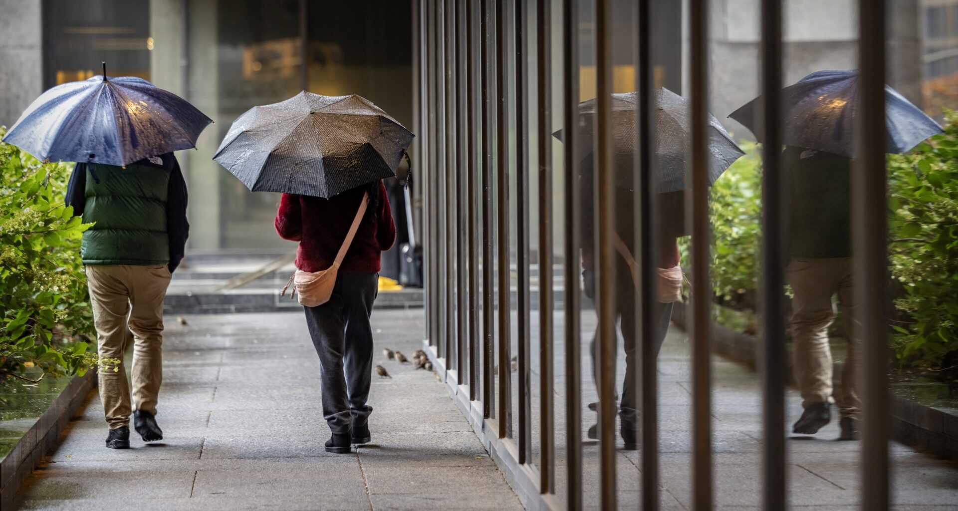 Two people walk under umbrellas next to the side of a building. They are seen from behind.