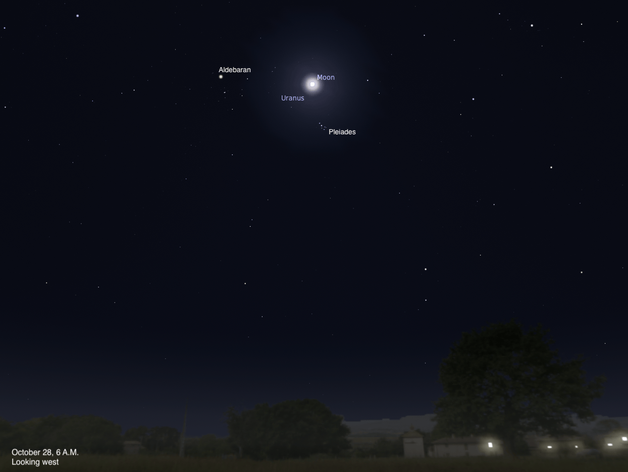 Simulated view of a dark predawn sky over silhouetted trees and buildings with a few lit windows, dated October 28, 2026, 6 A.M., looking west. The Moon glows within a bluish halo at upper center, with Uranus labeled just below and left of it and the Pleiades labeled just below. Aldebaran is labeled at upper left.