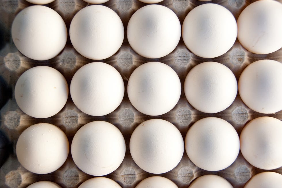 eggs