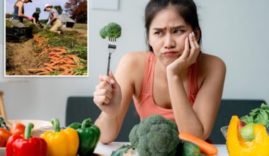Fruits and vegetables 50% less nutritious than in the 1960s, new study finds