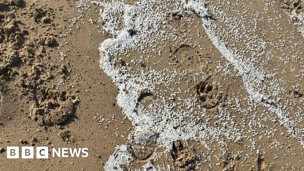 Tests carried out on seabirds after nurdle spill - BBC