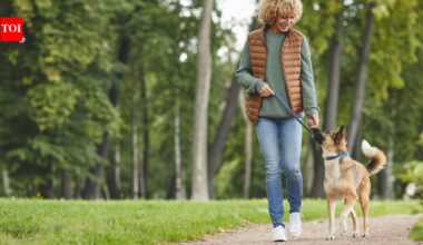 Walking is great after 50, but it does not work every muscle: Physiotherapist suggests these 4 exercises for better strength