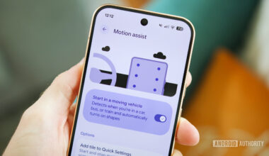 Motion Assist feature running on a Pixel phone.