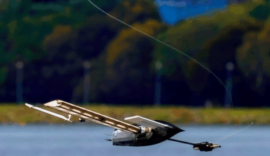 Robotics Videos: Bioinspired Robotics, Modular Arm, More