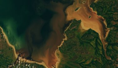 The Beaver Brown Waters of Rupert Bay 