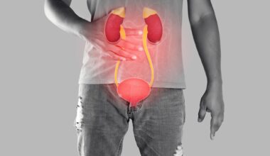 Kidney and urethra illustration on the men body against a gray background.