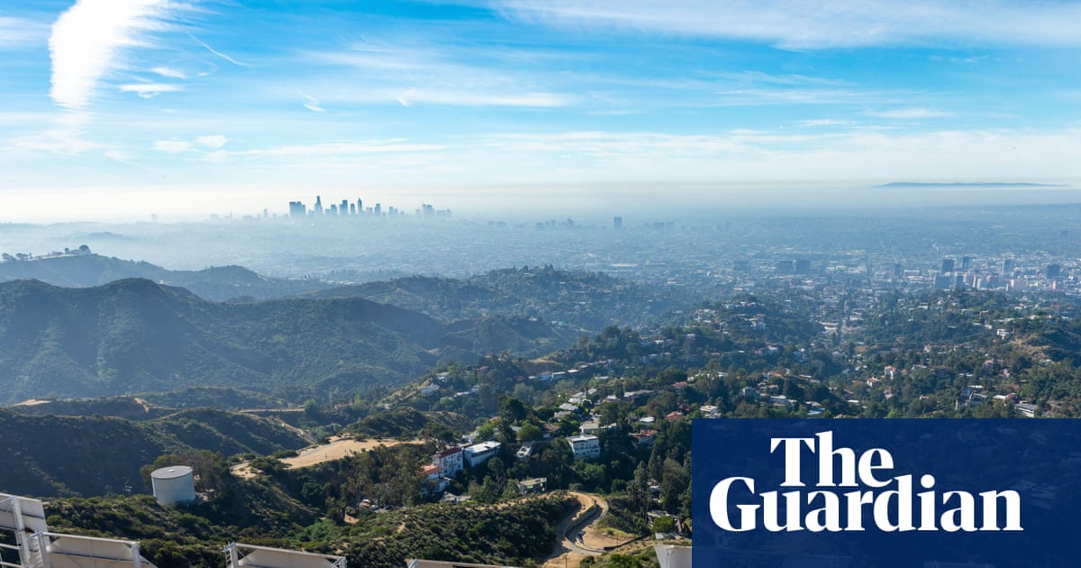Snakes, bobcats, mountain lions: the secret animal world beneath the Hollywood sign | Los Angeles